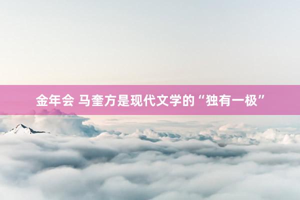 金年会 马奎方是现代文学的“独有一极”
