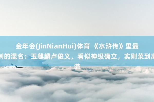 金年会(JinNianHui)体育 《水浒传》里最讥刺的混名：玉麒麟卢俊义，看似神级确立，实则菜到离谱