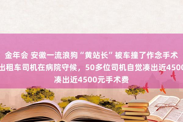 金年会 安徽一流浪狗“黄站长”被车撞了作念手术，十几位出租车司机在病院守候，50多位司机自觉凑出近4500元手术费
