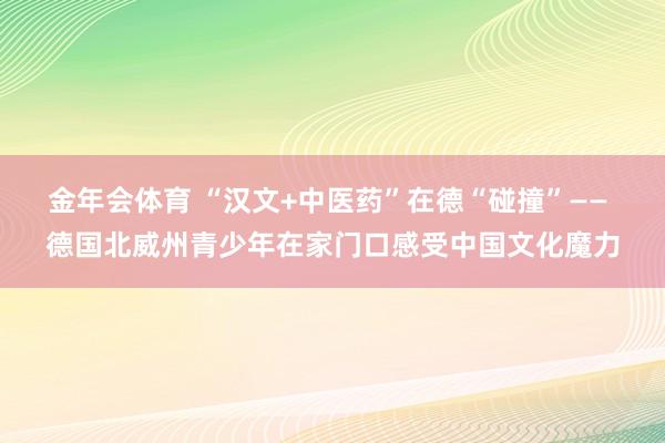 金年会体育 “汉文+中医药”在德“碰撞”—— 德国北威州青少年在家门口感受中国文化魔力
