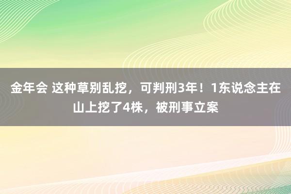 金年会 这种草别乱挖，可判刑3年！1东说念主在山上挖了4株，被刑事立案