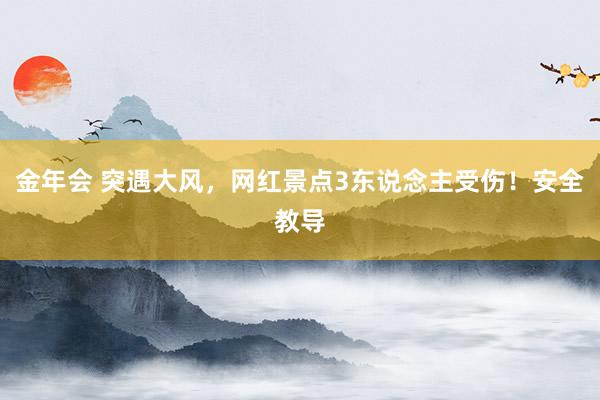 金年会 突遇大风，网红景点3东说念主受伤！安全教导