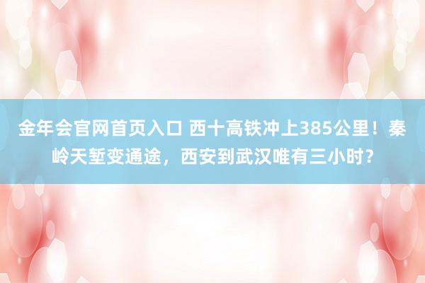 金年会官网首页入口 西十高铁冲上385公里！秦岭天堑变通途，西安到武汉唯有三小时？
